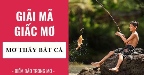 Nằm mơ thấy bắt cá đánh con gì? Là điềm báo gì?