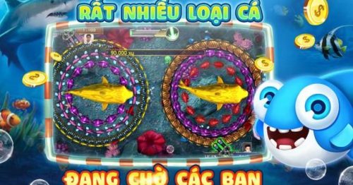 Bắn Cá Mod là gì? Kinh nghiệm bắn cá chuẩn như các tay săn chuyên nghiệp