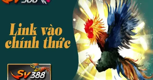 SV388 – Nhà cái cá cược với nền tảng hoạt động vững mạnh