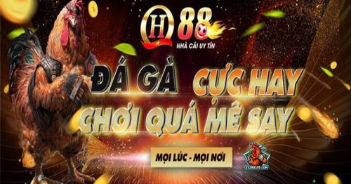 Bật mí cách chơi game đá gà online QH88 siêu đẳng cấp