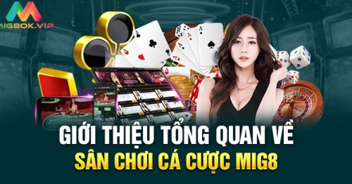 Mig8 – Thương hiệu uy tín và chất lượng hàng đầu Việt Nam