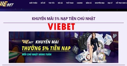 Khuyến mãi Viebet – Ưu đãi đặc biệt tri ân hội viên nhà cái