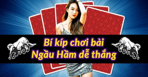 Hướng Dẫn Chi Tiết Về Cách Chơi Bài Ngầu Hầm Cho Lính Mới